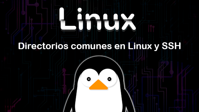 Directorios comunes y SSH en Linux https://algo.help